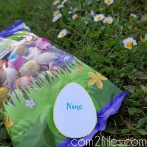 P Ques Une Chasse Aux Ufs Avec Nigmes Diy Printables